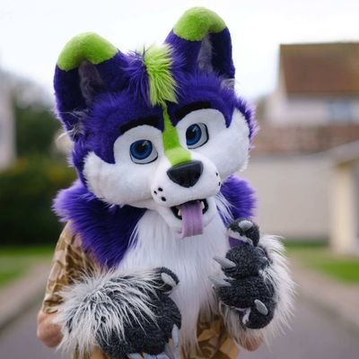 HakkerHusky Profile Picture