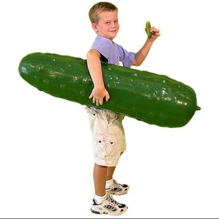 A giant pickle that travels America slapping Libs in the face leaving a dilly scent behind.