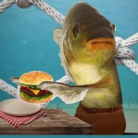 Seagull (@squid_sucker) 's Twitter Profile Photo