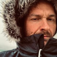 Steve Wood (@stephenwoodlive) 's Twitter Profile