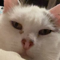 Oskar (@0skrrrrrr) 's Twitter Profile Photo Oskar (@0skrrrrrr) 's Twitter Profile Photo