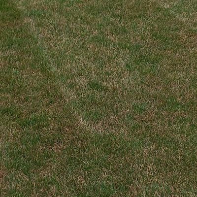 AdrianaZagrobe1's profile picture. Moje opinie - mój punkt postrzegania rzeczywistości.