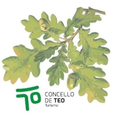 Twitter oficial da Concellaría de Turismo do @concellodeteo. #turismoteo.