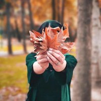طیبه نامی (@tybhnamy) Twitter profile photo