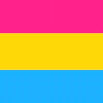 Posting pansexual flags every day or so !