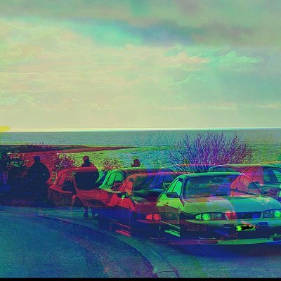 Dingo76886376's profile picture. 