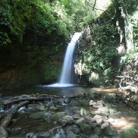 Romeo Mike (@montealegrerafa) 's Twitter Profile