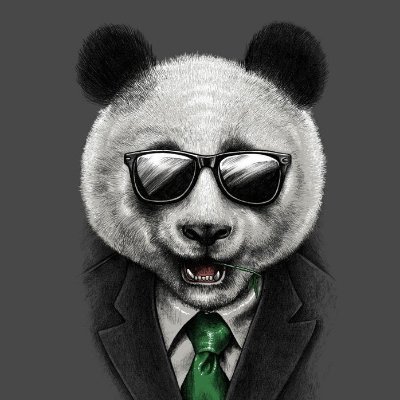 quizsldbase's profile picture. 