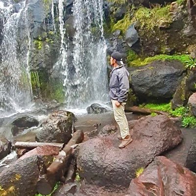 AlbertoBrionesG's profile picture. Modo incógnito since 1993 😎