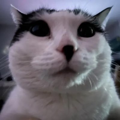 imtosty's profile picture. 