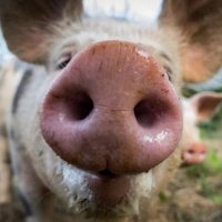 groin67 (@groin67) 's Twitter Profile