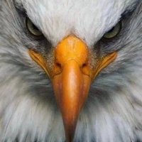 Oregonfish2 (@oregonfish2) 's Twitter Profile