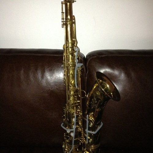 Johnson_Mikey's profile picture. Jazz saxophonist working in New York. Plays all the reeds plus flute and piccolo. Reads fly shit on paper and solos most excellently...