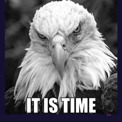 MWMARTIN10's profile picture. the more you learn, the dumber you realize you are