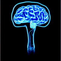 NA Letizia (@_lezzz_) 's Twitter Profile