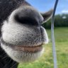jostark6's profile picture. A quiet radical. I know a bit about this & that - mainly strategy setting, innovation, enterprise, creative economy, startup, LMI, skills - justdostuff.