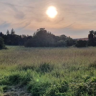 samo0320's profile picture. 