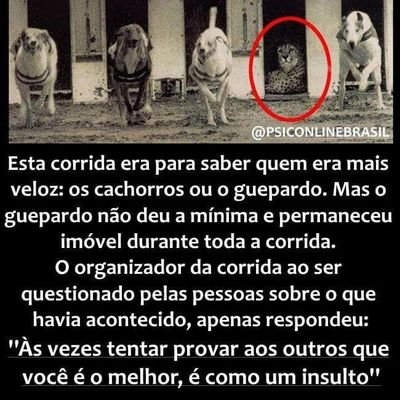 Gustavo80803321's profile picture. Liberdade