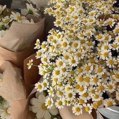 __il20's profile picture. الحمدلله , دوماً وأبداً ويقيناً وحباً 🤍 على هذه الأرض ما يستحق الحياة …