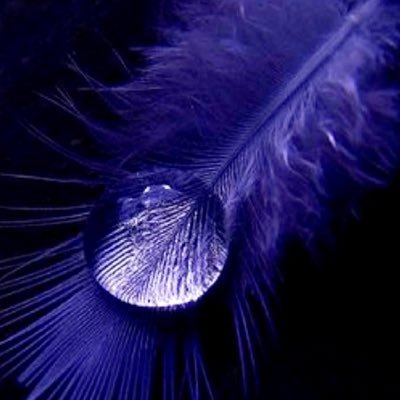 LSQ1011KH's profile picture. 想你无痕