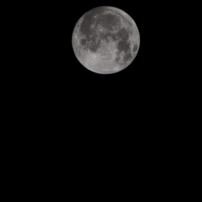 zerobunny07's profile picture. Devops