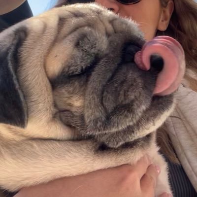 ferferechili's profile picture. 