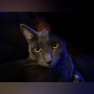 Buddykins21's profile picture. Air Force veteran, conservative American, MAGA all the way! Trump is still my President