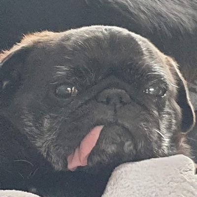 Alankelly06's profile picture. 