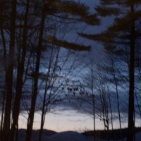 Timothy Shortell (@brooklynsoc) 's Twitter Profile
