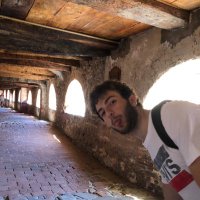 Vincenzo Tripodi (@vincetripodi27) 's Twitter Profile