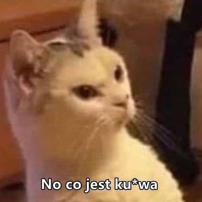 vagr4nd's profile picture. I'm Polish Italianoo Boyy