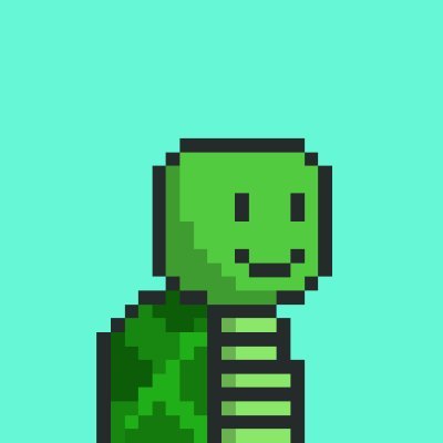 999 Turtles on the Aptos Blockchain/ Staking / Raffles / Community Project