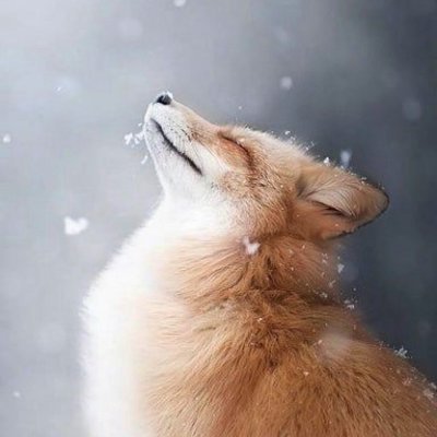 🇺🇸 Skymaster 🇺🇸