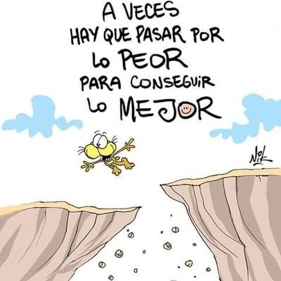 Tincho50766540's profile picture. 