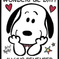 Debra Byerly (@byerlydeb) 's Twitter Profile