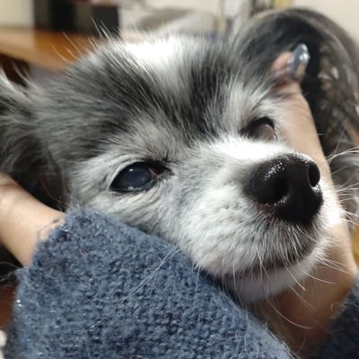 桜さんのプロフィール画像