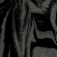 sigh (@atwistedsystem) 's Twitter Profile