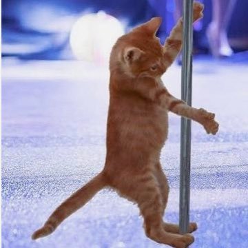 jellyMIDD's profile picture. tie = tie