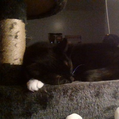 boriistick's profile picture. Account fully inactive and reserved, Hope you enjoyed the service while it lasted.