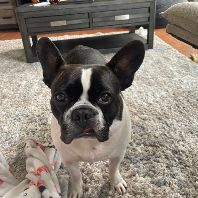 Edzers27's profile picture. Hard working father