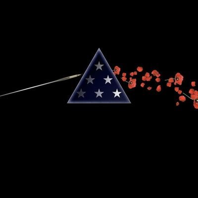 NCArmyVeteran's profile picture. chances are you won't like me, and I won't give a fuck.