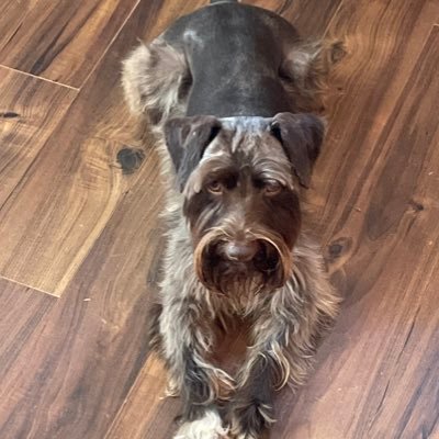 Rhouseswope's profile picture. 