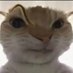 user (@saltyforyoude) Twitter profile photo user (@saltyforyoude) Twitter profile photo