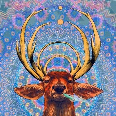 Spread Good Vibes wherever experience takes you