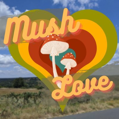 Gourmet Commercial Mushroom cultivators in Spring, TX.
Fresh Mushrooms 🍄 Grow Kits 👨‍🌾 Powdered Supplements☕🧠 
IG @mushlovetx
YT @mushlovesupply