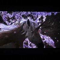 Waitingforebs (@waitingforebs) 's Twitter Profile