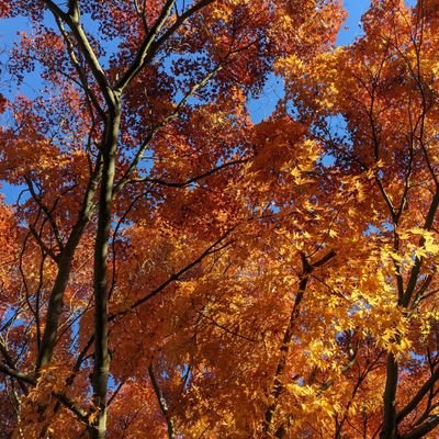 kelseyedits's profile picture. .