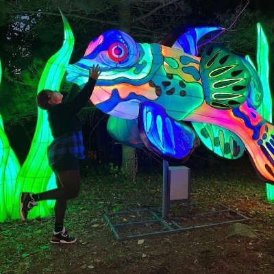 Mari_DelCar's profile picture. 🌬🤍✨