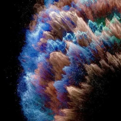 z915399503's profile picture. 