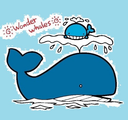 whalearno's profile picture. 是天照映著海，還是海染藍了天？